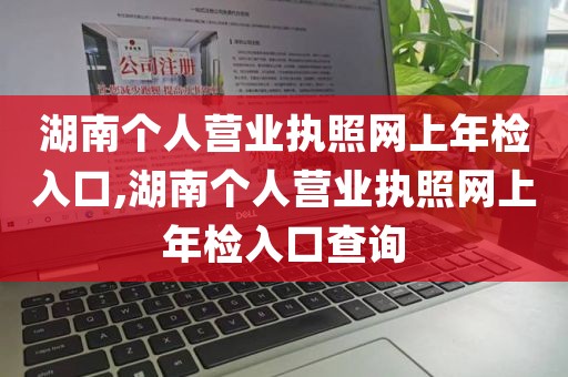 湖南个人营业执照网上年检入口,湖南个人营业执照网上年检入口查询