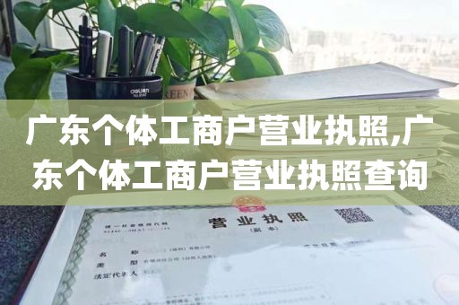 广东个体工商户营业执照,广东个体工商户营业执照查询