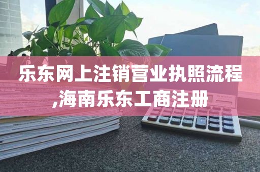 乐东网上注销营业执照流程,海南乐东工商注册