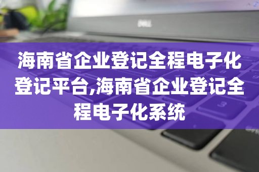 海南省企业登记全程电子化登记平台,海南省企业登记全程电子化系统